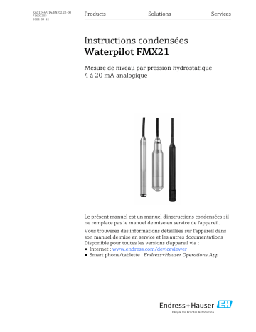 Endres+Hauser Waterpilot FMX21 Manuel utilisateur | Fixfr