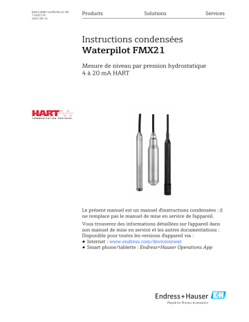 Endres+Hauser Waterpilot FMX21 Manuel utilisateur | Fixfr
