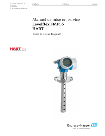 Endres+Hauser Levelflex FMP55 HART Mode d'emploi | Fixfr