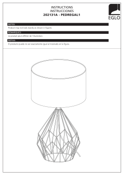 Eglo 202131A Pedregal 1 25 in. Gold Table Lamp Mode d'emploi