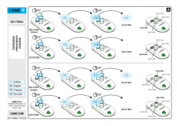 CAME TOP REMOTE CONTROL Manuel utilisateur
