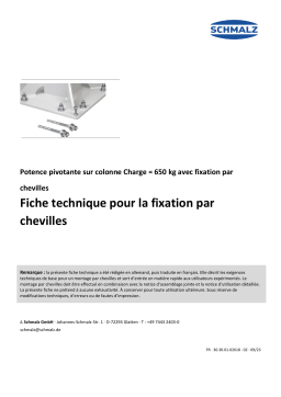 Schmalz  DUE-SET-16xDYN-M12x100/25 Plugset - Chemical anchor  Manuel utilisateur