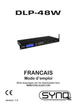 Manuel utilisateur SynQ DLP-48W - Contrôle audio numérique