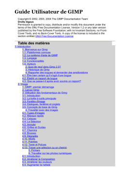 Manuel utilisateur Gimp version 2.0 - Lire en ligne, télécharger PDF