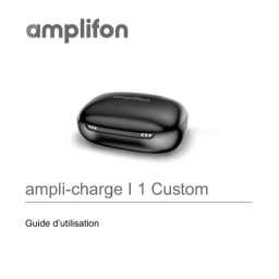 Manuel d'utilisation ampli-charge I 1 Custom