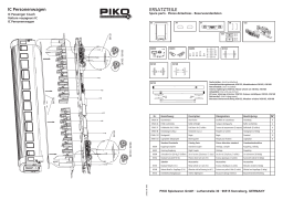 Manuel d'utilisation PIKO 37669