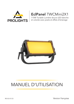 ProLights EclPanel TWCMini2x1 Manuel utilisateur - Contrôle DMX, ArtNet/sACN, WDMX