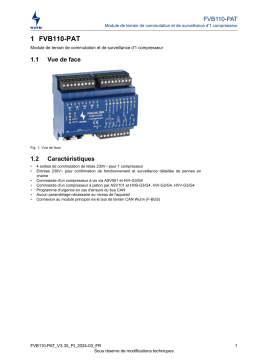 WURM FVB110-PAT Information produit