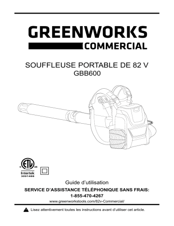 Greenworks 2403902 - GBB600 Manuel du propriétaire | Fixfr