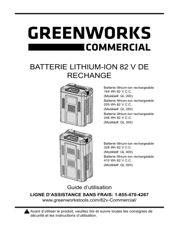 Greenworks 388011357 2907602 Manuel du Propriétaire | Fixfr