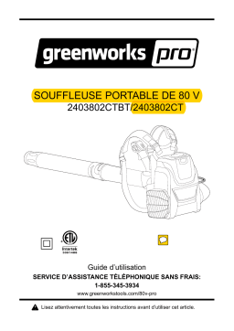 Manuel Greenworks 2403802CTBT&2403802CT