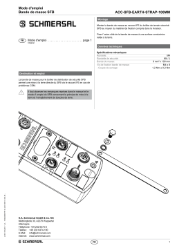 ACC-SFB-EARTH-STRAP-100MM: Mise à la Terre pour Boîtier SFB