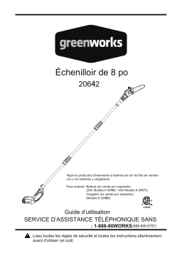 Greenworks 20642 Manuel du propriétaire
