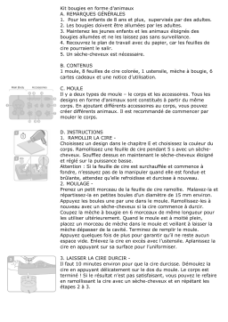 Manuel du propriétaire 4M 00-04681 - Kit bougies animaux