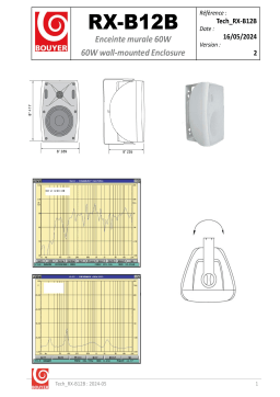 Manuel BOUYER RX-B12B - Enceinte Murale 60W