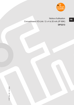 Manuel utilisateur IFM DP3213 - Convertisseur IO-Link / 2 x 4 à 20 mA (IP 69K)