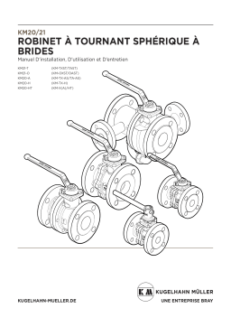 Manuel du propriétaire Bray Robinet À Tournant Sphérique À Brides KM 20/21