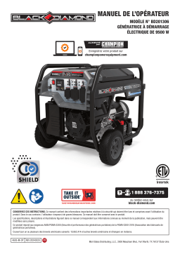 Champion Power Equipment 201306 Manuel utilisateur