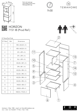 Manuel d'utilisation TemaHome HORIZON 7151 IB