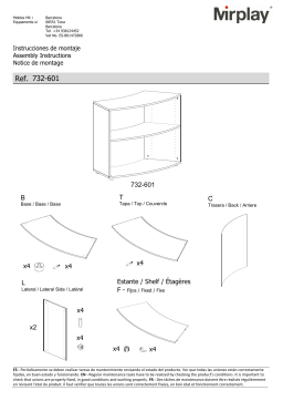 Mirplay 732-601 Manuel utilisateur - Assemblage et Configuration