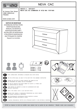 SCIAE 17CF1403 Manuel utilisateur