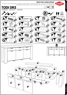 Profijt Meubel TODI DR3 Manuel utilisateur