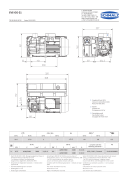 Schmalz EVE-OG 21 AC3 Manuel d'utilisation