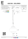 Ryd&eacute;ns 4202190 : Chat IA + T&eacute;l&eacute;chargement PDF