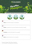 FloraPlus Phospho: Manuel d'instructions + Chat IA