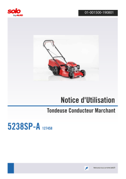 Notice 5238SP-A Tondeuse à Gazon : IA Chat & PDF