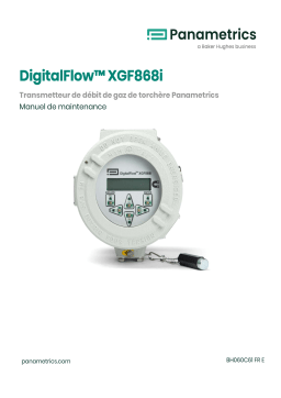 Panametrics DigitalFlow XGF868i Manuel utilisateur