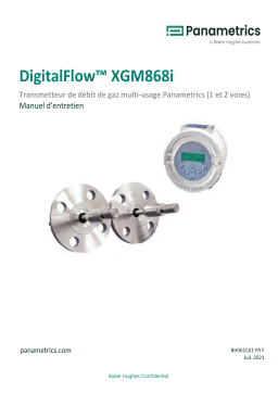 Panametrics DigitalFlow XGM868i Manuel utilisateur