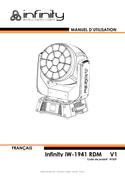 Infinity iW-1941 RDM Manuel + Chat IA & PDF