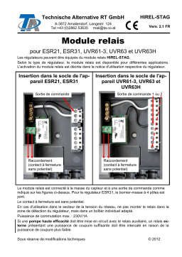 HIREL-STAG ESR21, ESR31, UVR61-3 Manuel | AI Chat & PDF