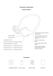 Version de base Instrument Visage Mince | AI Chat &amp; PDF