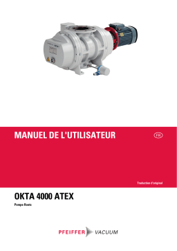 Manuel Okta 4000 ATEX : Chat IA et PDF