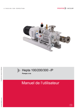 Hepta 100/200/300 -/P Manuel Utilisateur | AI Chat & PDF