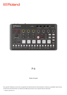 Roland P-6: Mode d'emploi, IA Chat & PDF Access