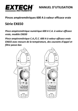 Extech EX650 Manuel utilisateur