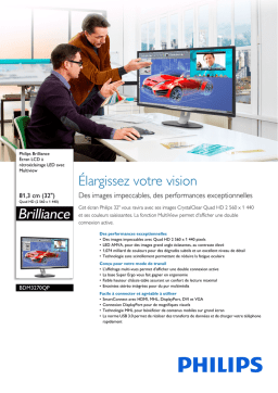 Philips BDM3270QP LCD Monitor: AI Chat & PDF Access