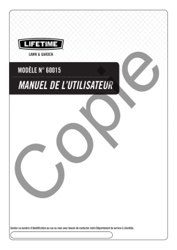 Manuel d'utilisateur Lifetime 60015: AI Chat & PDF