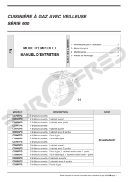 Eurofred ENCIMERA CGY 4 TPS (4 FUEGOS) Manuel utilisateur