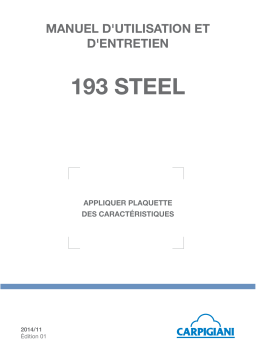 Carpigiani SOFT 193P-AV Manuel utilisateur