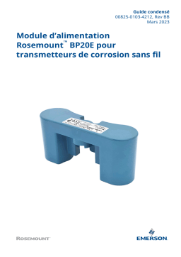 Rosemount BP20E Module d'alimentation | AI Chat & PDF