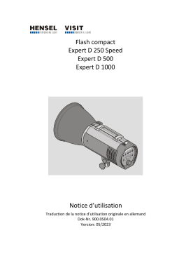 Hensel Expert D 250/500/1000 : Manuel d'utilisation + Chat IA