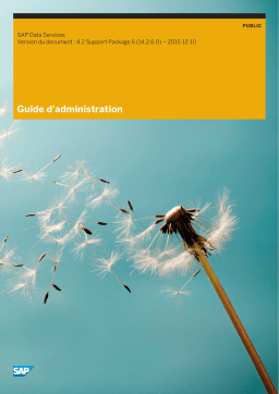 SAP Data Services 4.2 SP6 : Guide d'administration + AI