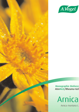 A.Vogel AtroMed/Rheuma-Gel Monographie | AI Chat & PDF