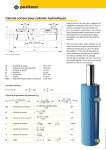 Calculs V&eacute;rins Hydrauliques Paul Forrer | AI Chat