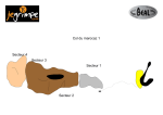 Marocaz: Guide des voies d'escalade + Chat IA &amp; PDF
