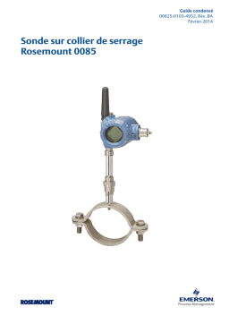 Rosemount 0085 Sonde de Température: IA et Téléchargement PDF